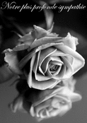 Douces roses en m&eacute;moire sinc&egrave;re